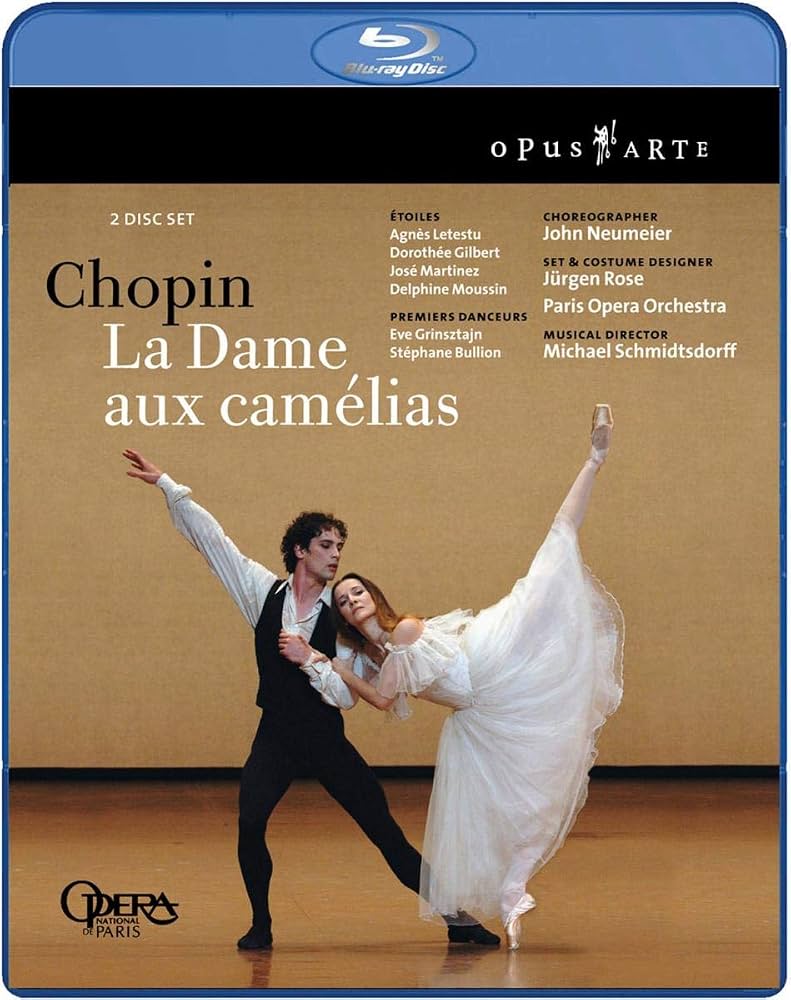 Copertina LA SIGNORA DELLE CAMELIE(LA DAME AUX CAMELIAS)